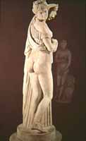 Aphrodite of the Beautiful Buttocks